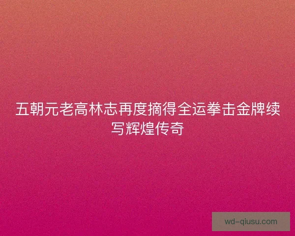 五朝元老高林志再度摘得全运拳击金牌续写辉煌传奇